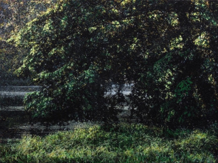 gregor toerzs, ciel lourd, #11, 2009, silbergelantine
